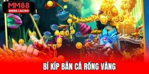 Ảnh đại diện Bí Kíp Bắn Cá Rồng Vàng