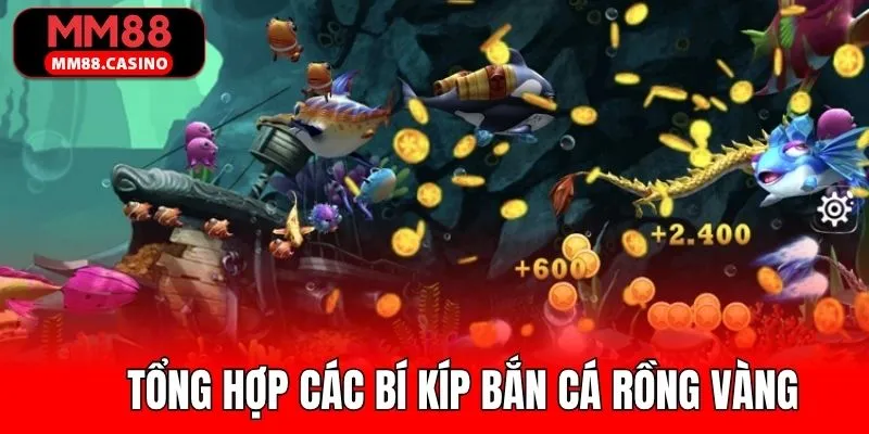 Những chiến thuật hiệu quả theo kinh nghiệm thực chiến